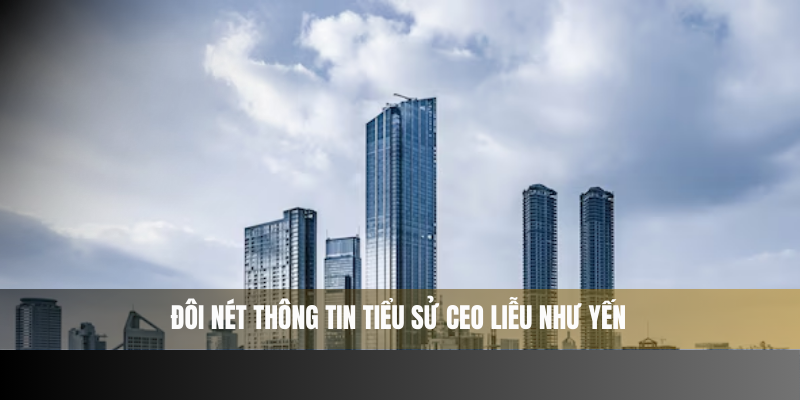 Đôi nét thông tin tiểu sử CEO Liễu Như Yến